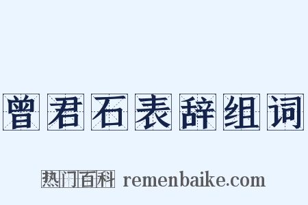 曾君石表辞组词是什么意思的图片